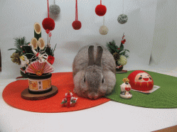 151214f.gif