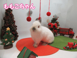 151214g.gif