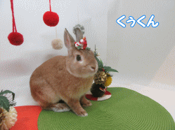 151215e.gif