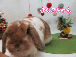 151215i.gif