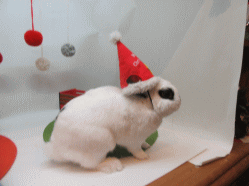 151215l.gif