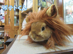 151215o.gif