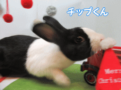 151215q.gif