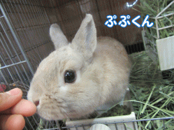 151215s.gif