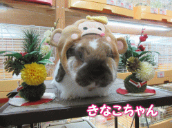 151219a.gif