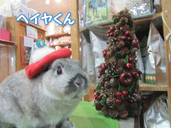 151219e.gif