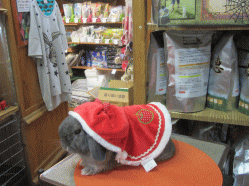 151219h.gif