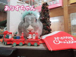 151219i.gif