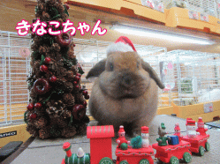 151220a.gif