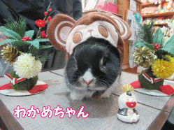151220c.gif