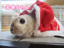 151220d.gif