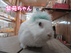 151220h.gif