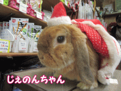 151220n.gif