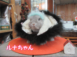 151220t.gif