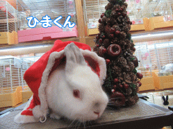 151220y.gif