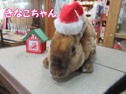 151221c.gif
