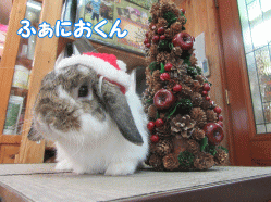 151222a.gif