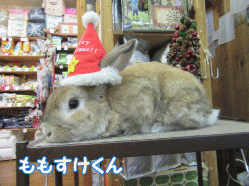 151222c.gif