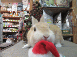 151222f.gif