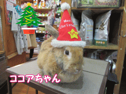 151223a.gif