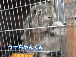 151223e.gif