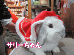 151224c.gif