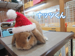 151224e.gif